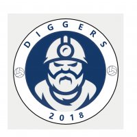 logo týmu Diggers